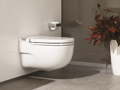 How to Choose a Toilet: A Buyer’s Guide